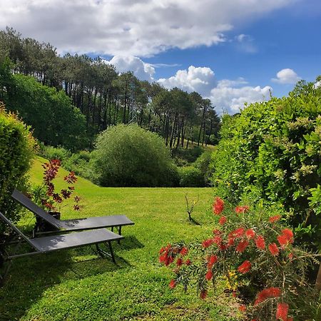 Appartement Calme Avec Jardin Bidart Biarritz Εξωτερικό φωτογραφία