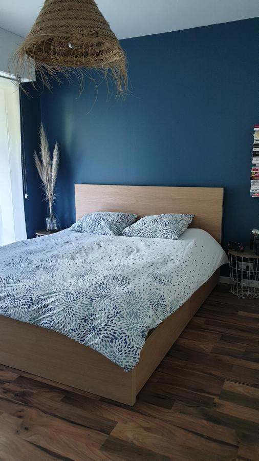 Appartement Calme Avec Jardin Bidart Biarritz Εξωτερικό φωτογραφία