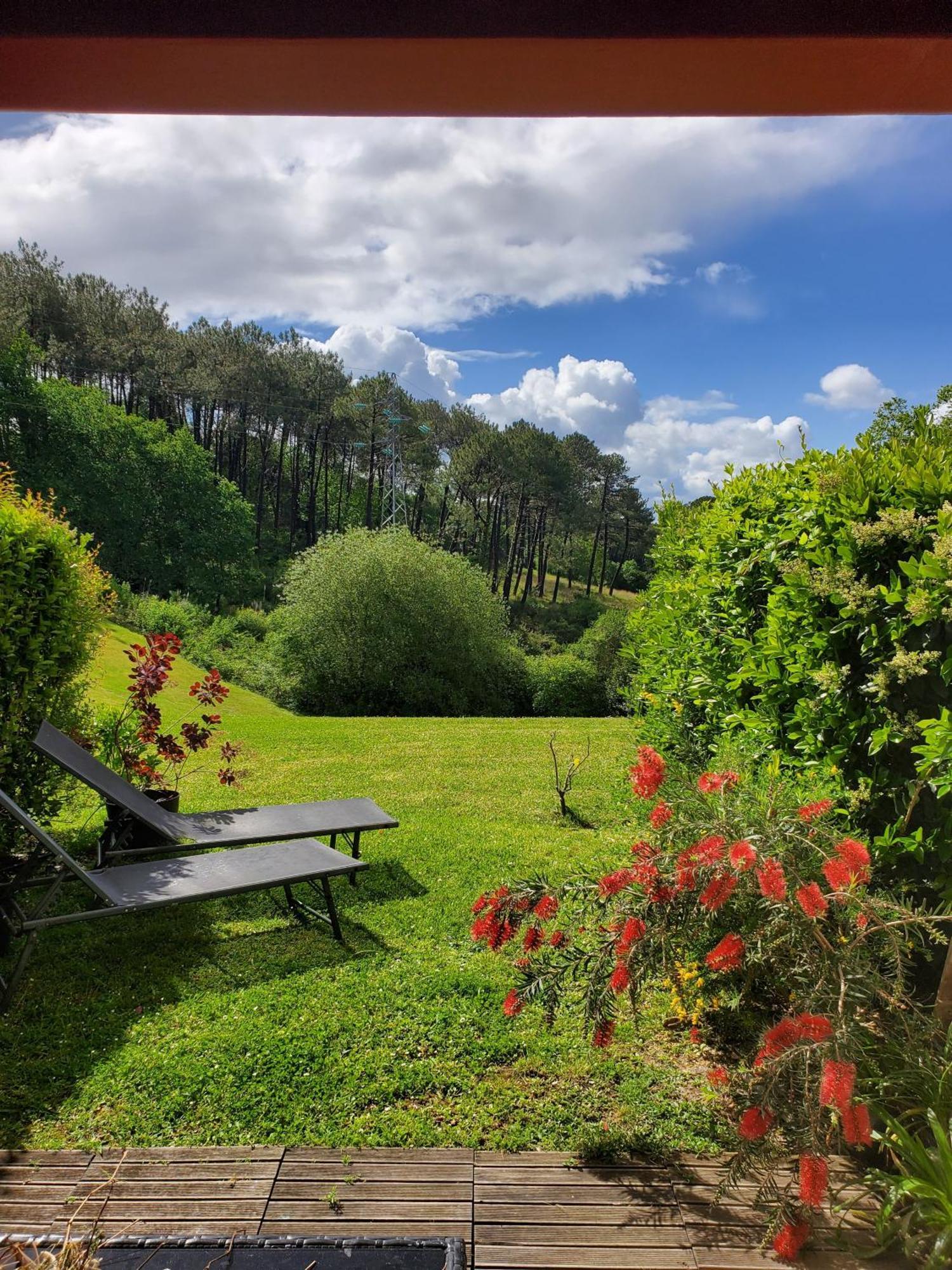 Appartement Calme Avec Jardin Bidart Biarritz Εξωτερικό φωτογραφία